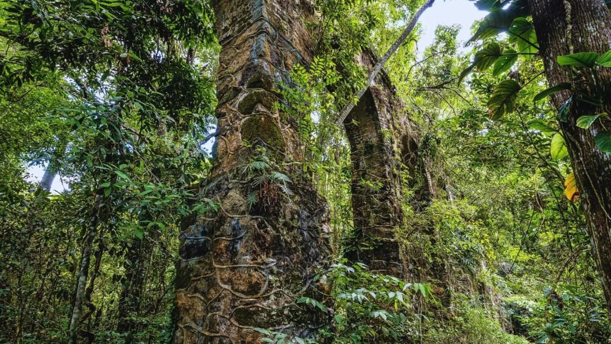 Doğanın sakladığı 5 bin yıllık kale gün yüzüne çıktı – turkifsalink.blog